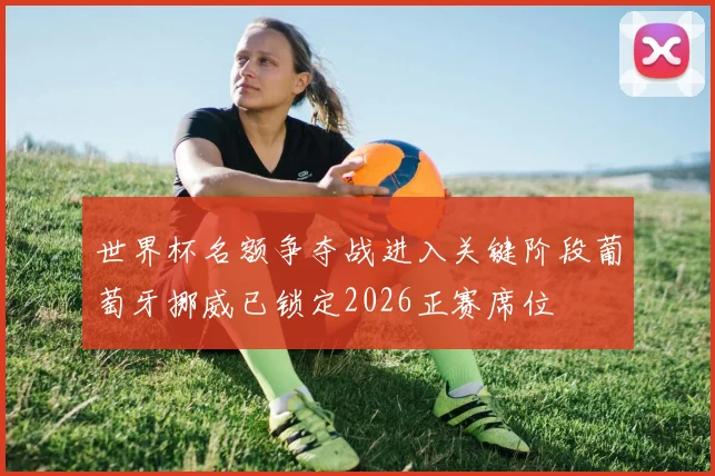 世界杯名额争夺战进入关键阶段葡萄牙挪威已锁定2026正赛席位